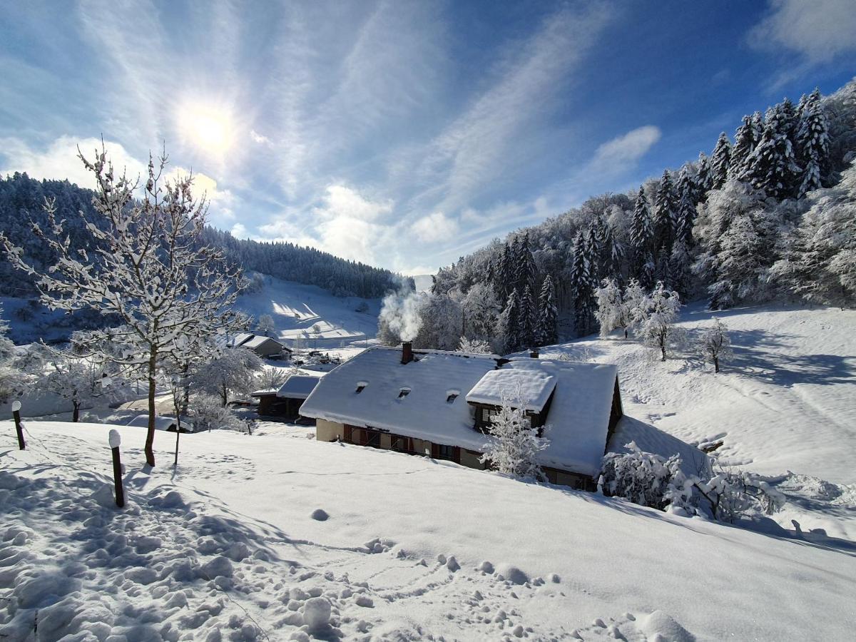 Haus Am Eckle Apartment Kleines Wiesental Luaran gambar